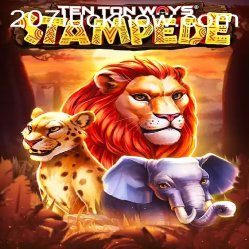 An Exciting Adventure with TenTonWaysStampede